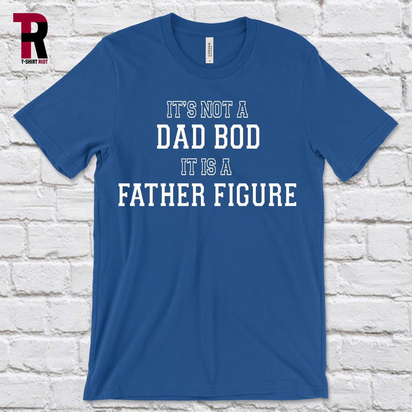 Funny Father's Day Unisex Softstyle T-Shirt | Father's Day - SKU